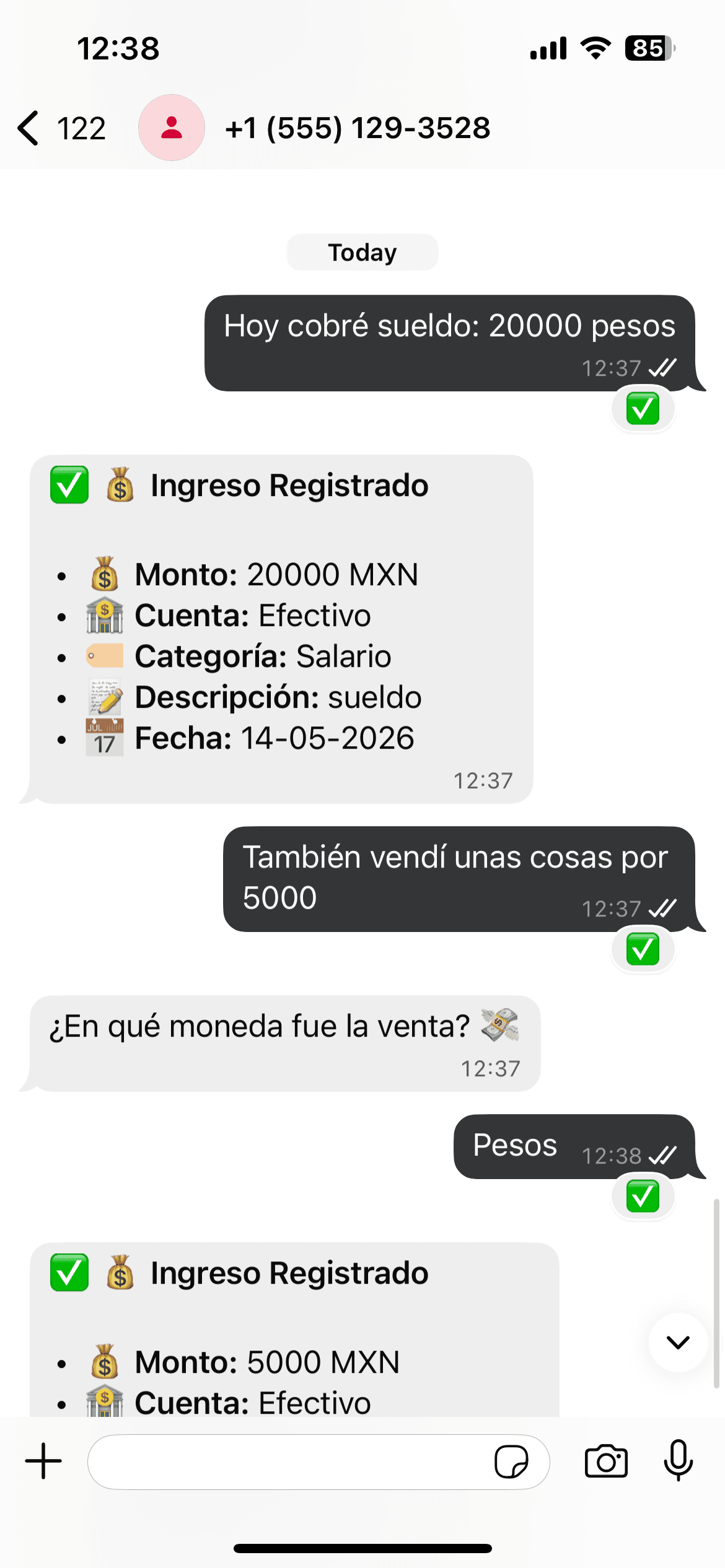 Fini registrando un ingreso por mensaje de texto en WhatsApp