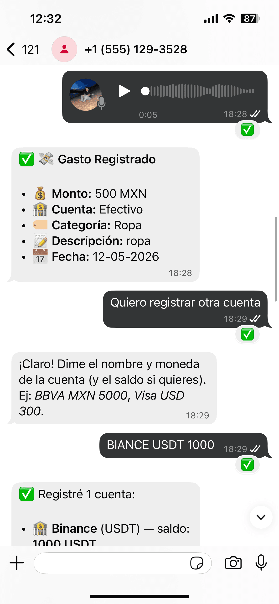 Fini recibiendo una nota de voz y registrando el gasto al instante